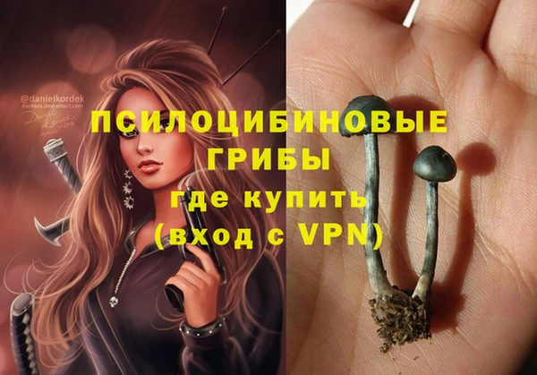 прущие крисы Армянск