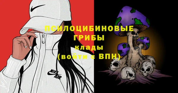 apvp Балахна