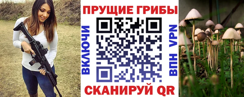где можно купить наркотик  MEGA онион  Галлюциногенные грибы мухоморы  Порхов 